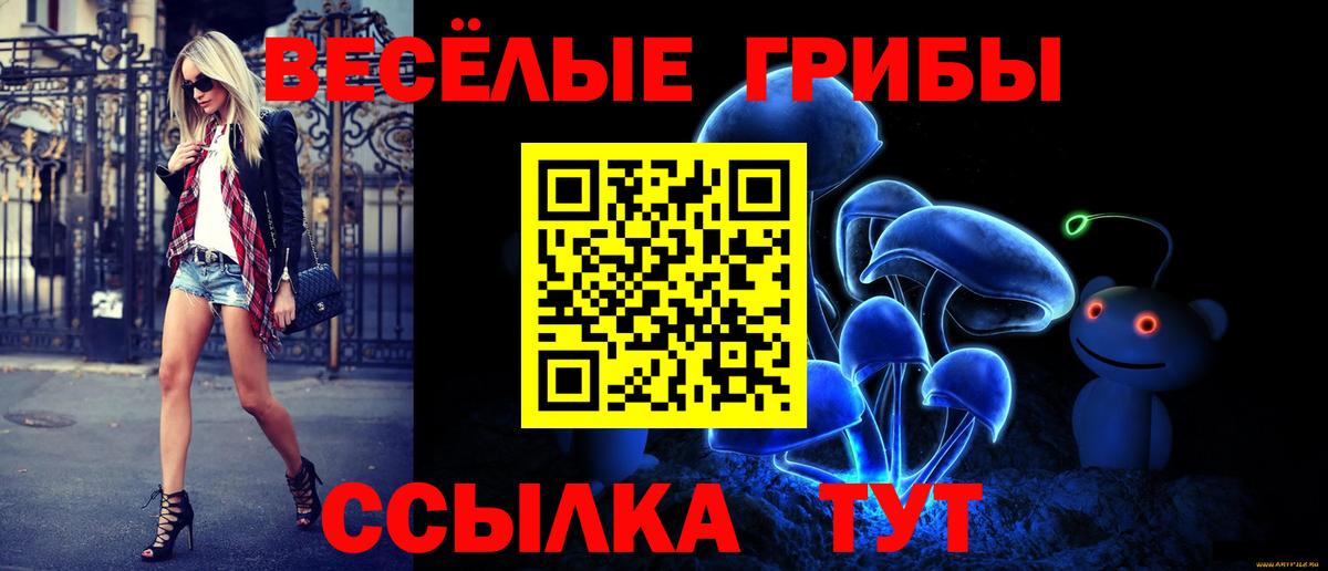 Знаменск  Галлюциногенные грибы ЛСД  Галлюциногенные грибы Cubensis  Вход с VPN 
